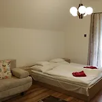 Borostyan Vendeghaz Bed & Breakfast Repashuta