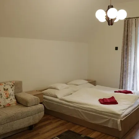 Borostyan Vendeghaz Bed and Breakfast Repashuta