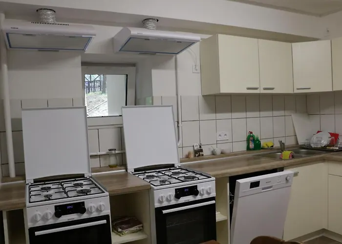 Bed & Breakfast Borostyan Vendeghaz Repashuta