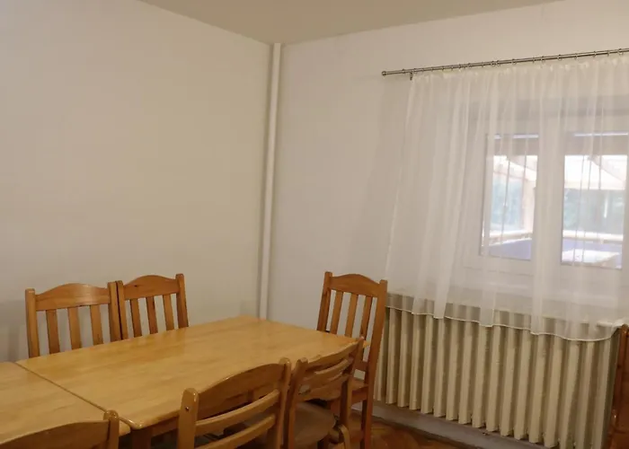 Borostyan Vendeghaz Bed & Breakfast Repashuta