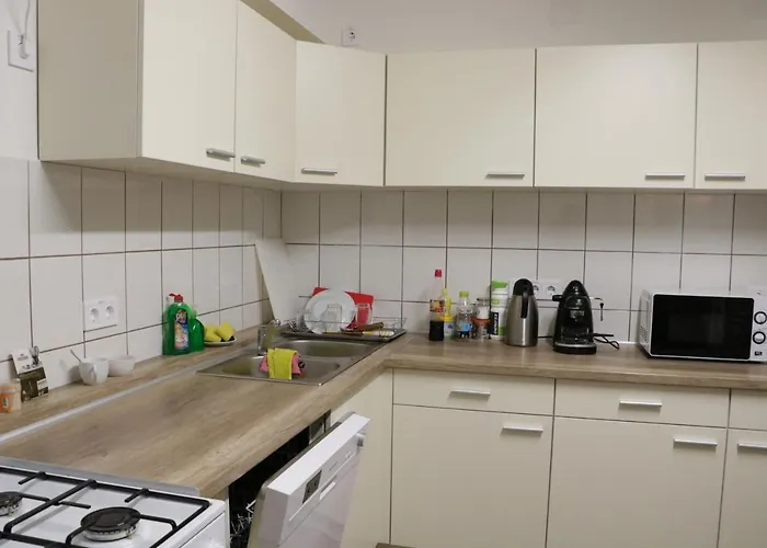 Bed & Breakfast Borostyan Vendeghaz Repashuta