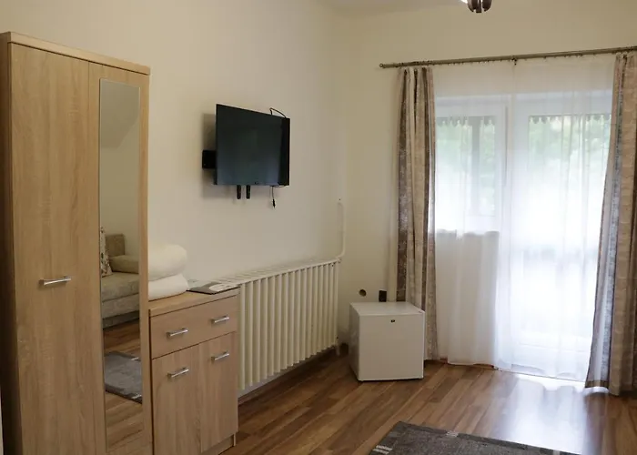 Bed & Breakfast Borostyan Vendeghaz Repashuta